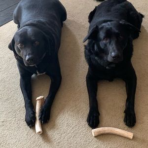 Meet your Posher, Philippa